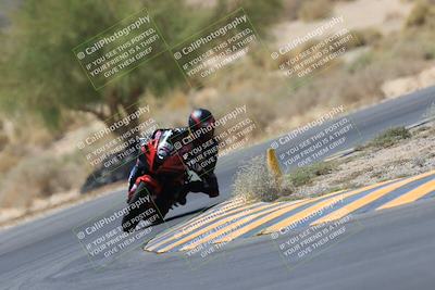 media/May-14-2023-SoCal Trackdays (Sun) [[024eb53b40]]/Turn 5 Tree of Life (1125am)/